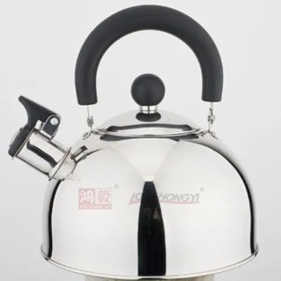 Best Stainless Steel Kettle